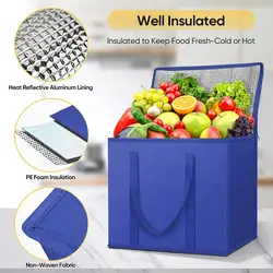 Bolsa isotérmica portátil infantil para picnic – Nevera de excursión