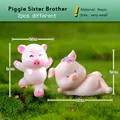 Pig Sister Brother