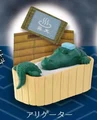 alligator