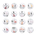 Paper 16Pcs