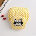 Yellow Raccoon