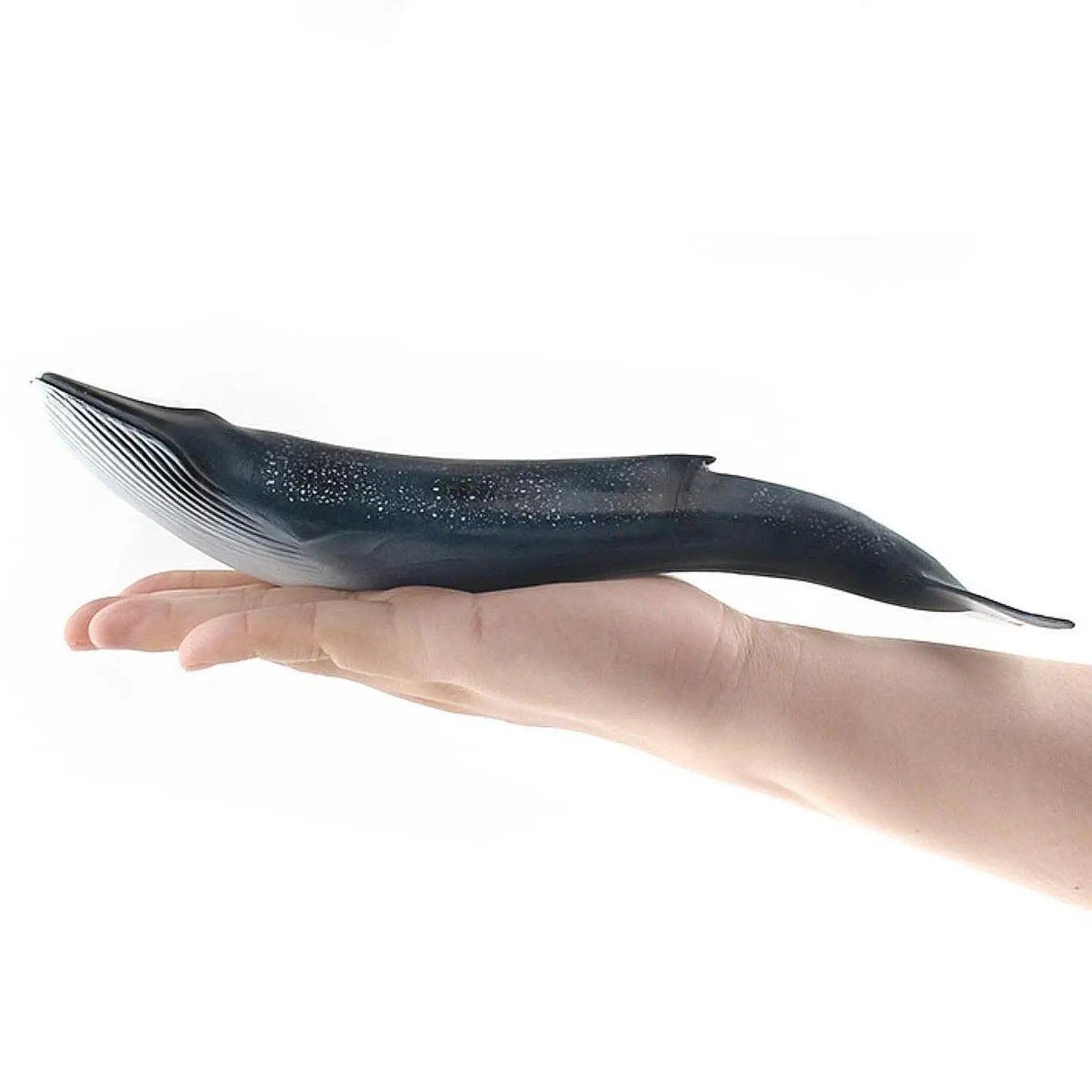 Simulation Whales Model Figures Simulation Marine Life Model