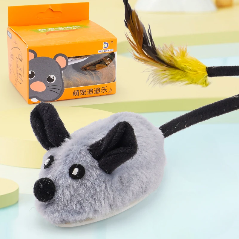 Grey rat