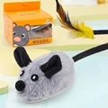 Grey rat
