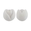 20pcs White