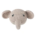 elephant-11