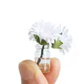 white-daisy