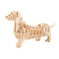 Dachshund