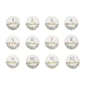 12pcs A
