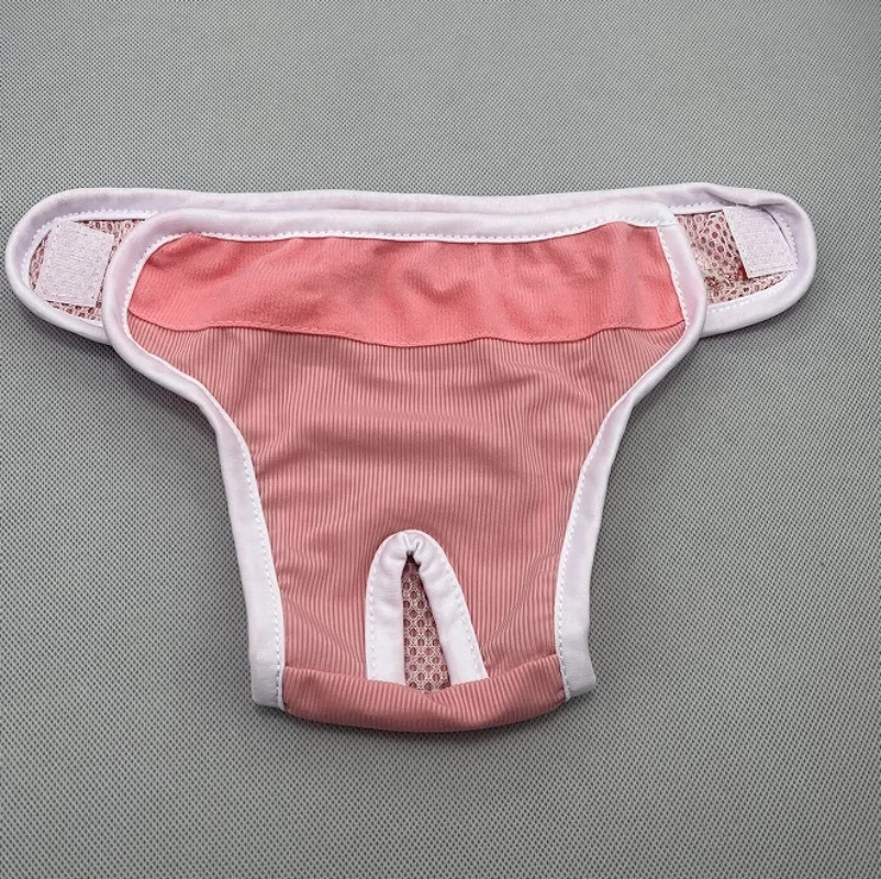 Bragas de período bordado para perro, ropa interior femenina rosa y azul para mascotas, pantalones de período menstrual para gato o perro - imagen 4