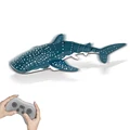 Spray No water Whale