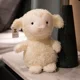lamb 20cm