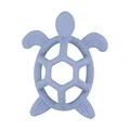 Hollow Turtle 2