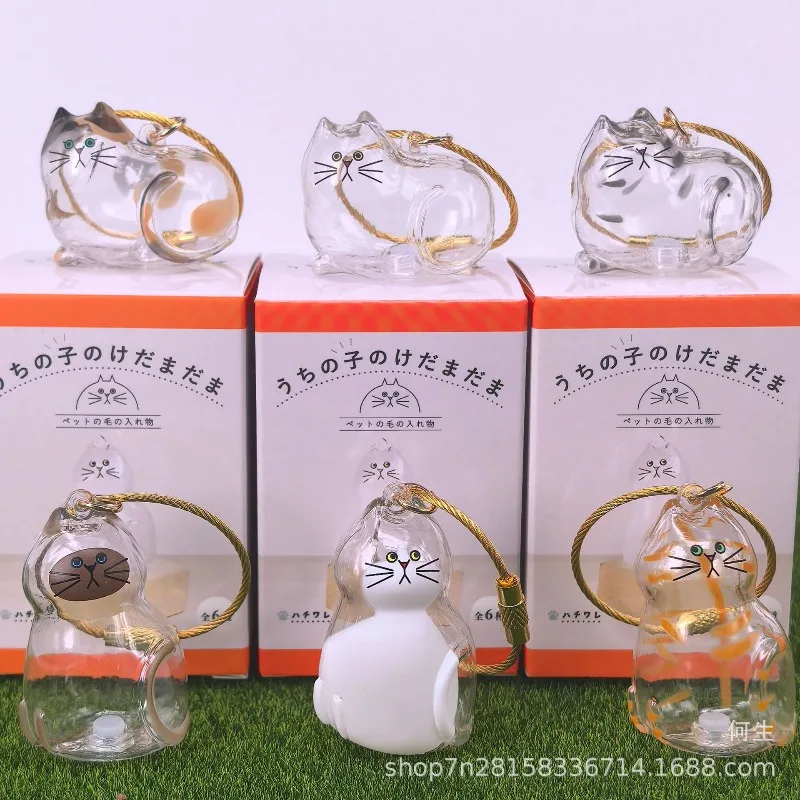 Caja ciega de gatos transparente de Japón, juguetes Kawaii, tarro de almacenamiento de pelo de gato, muñeca DIY, regalo, juguetes colgantes, decoración para coleccionar