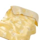 cheese bear