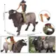 gray standing bullgr