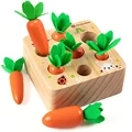 Pulling Carrot Toy 6