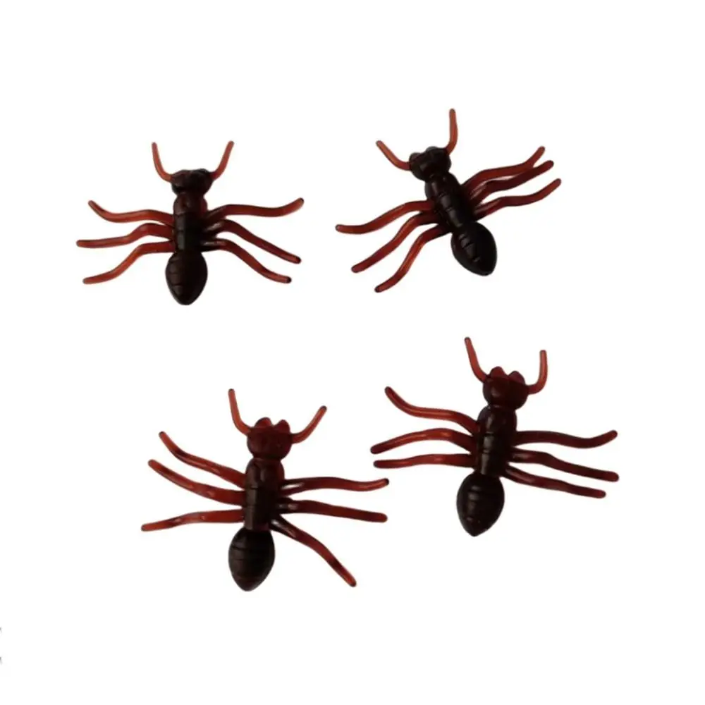 Ant