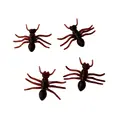 Ant