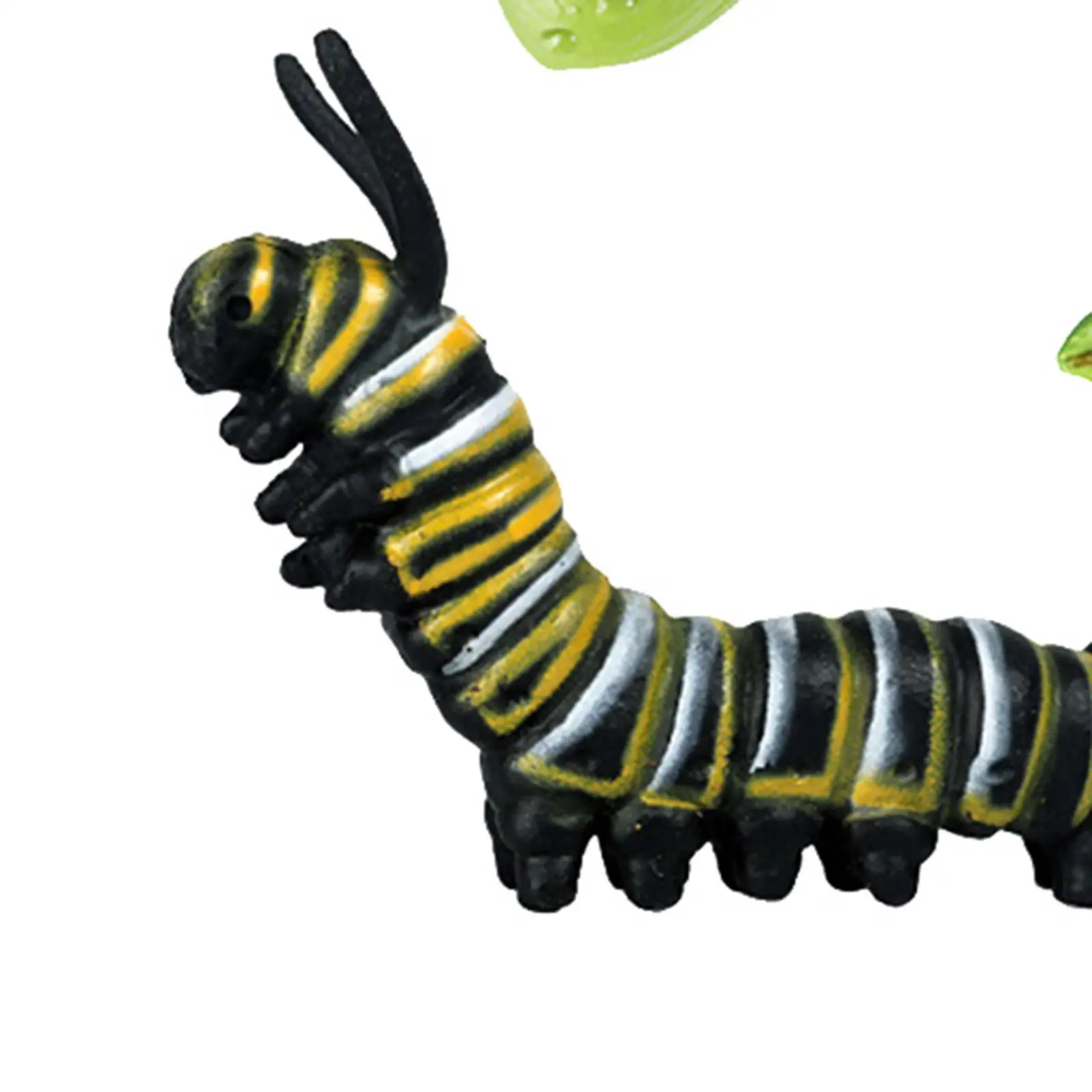 Nature Butterfly Life Cycle Stages Growth Figures Playset Pre- Early Education Learning Toys 