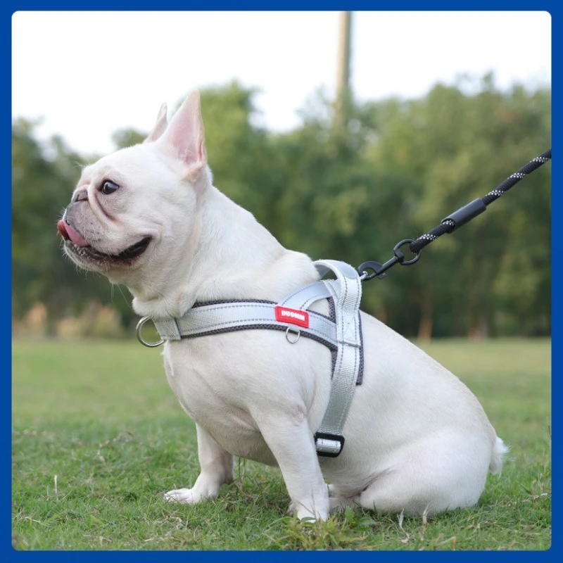 Transportín para perros a prueba de golpes con correa de pecho