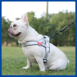 Transportín para perros a prueba de golpes con correa de pecho