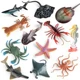 marine life