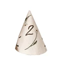 No.2 birthday hat