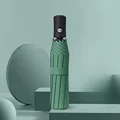 8kAuto-green