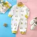 Star Bear