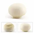 Agaricus