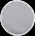 NP04