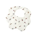 Sea star shell