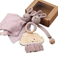 Set B6-5 PCs
