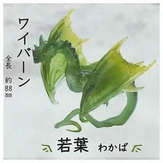 Wyvern Wakaba