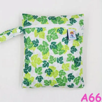 A66