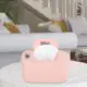 Pink Thermostat