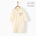 Beige Bear