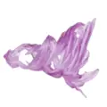 Violeta