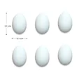 6pcs Duck Eggs