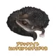 Black Knight Gecko B