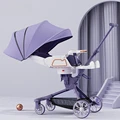 Taro purple
