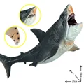 102509-Mouth-movable