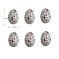 6pcs Bird Eggs