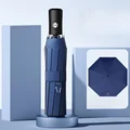 Auto-UV-navy