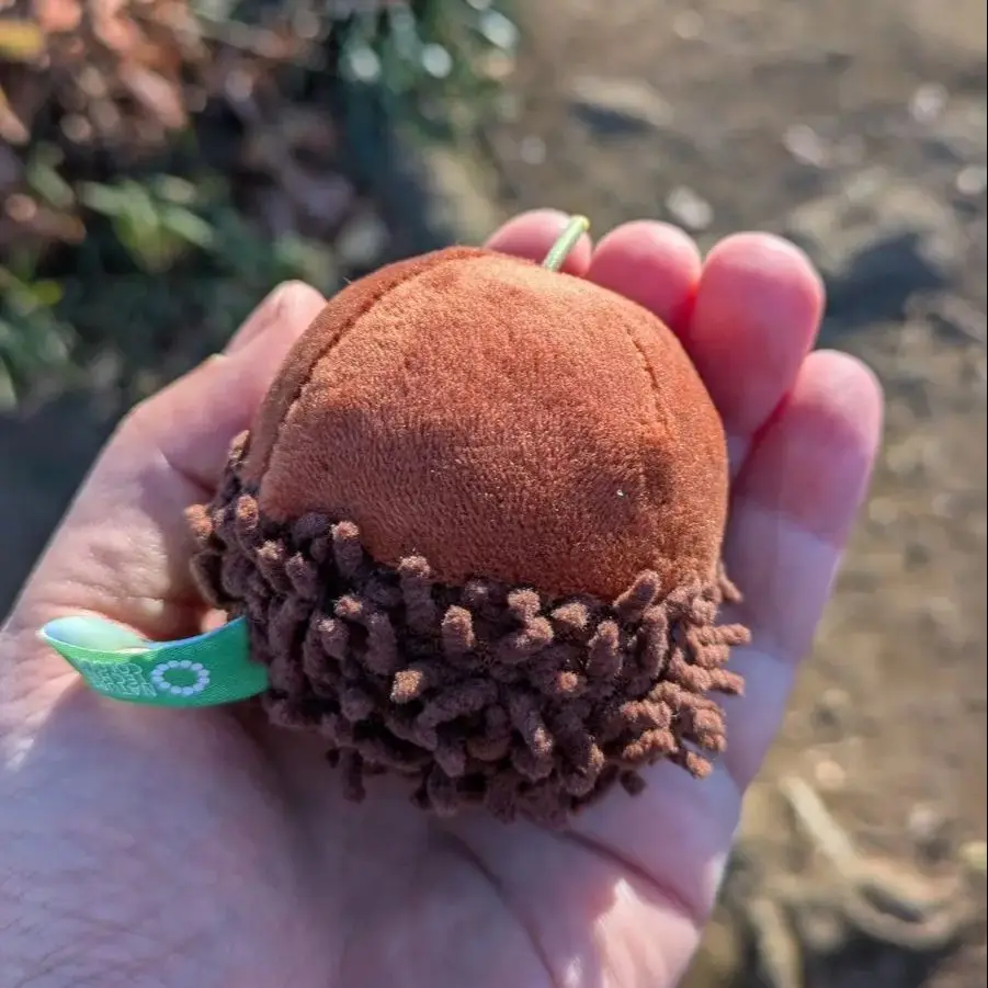 Ikimon MONO Bellota Juguetes de cápsula – Peluche colgante de roble - imagen 2