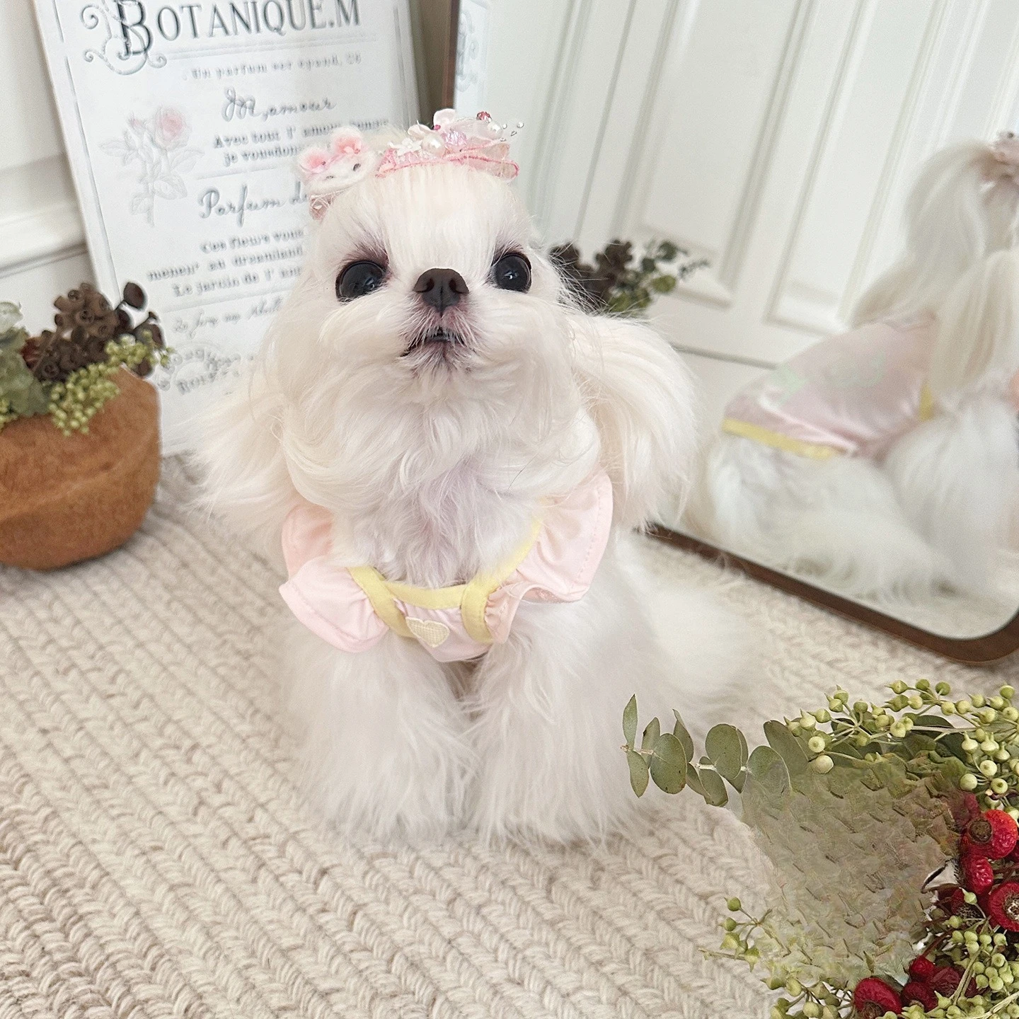 Chaleco con tirantes de manga voladora para mascotas, ropa para gatos, ropa fresca con protección solar, chaleco con luz nocturna, ropa fresca - imagen 4