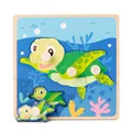 tortoise 478A2