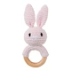 pink rabbit