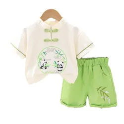 Conjunto verano niño – Camiseta y shorts (2 piezas)